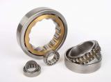 Cylindrical roller bearing